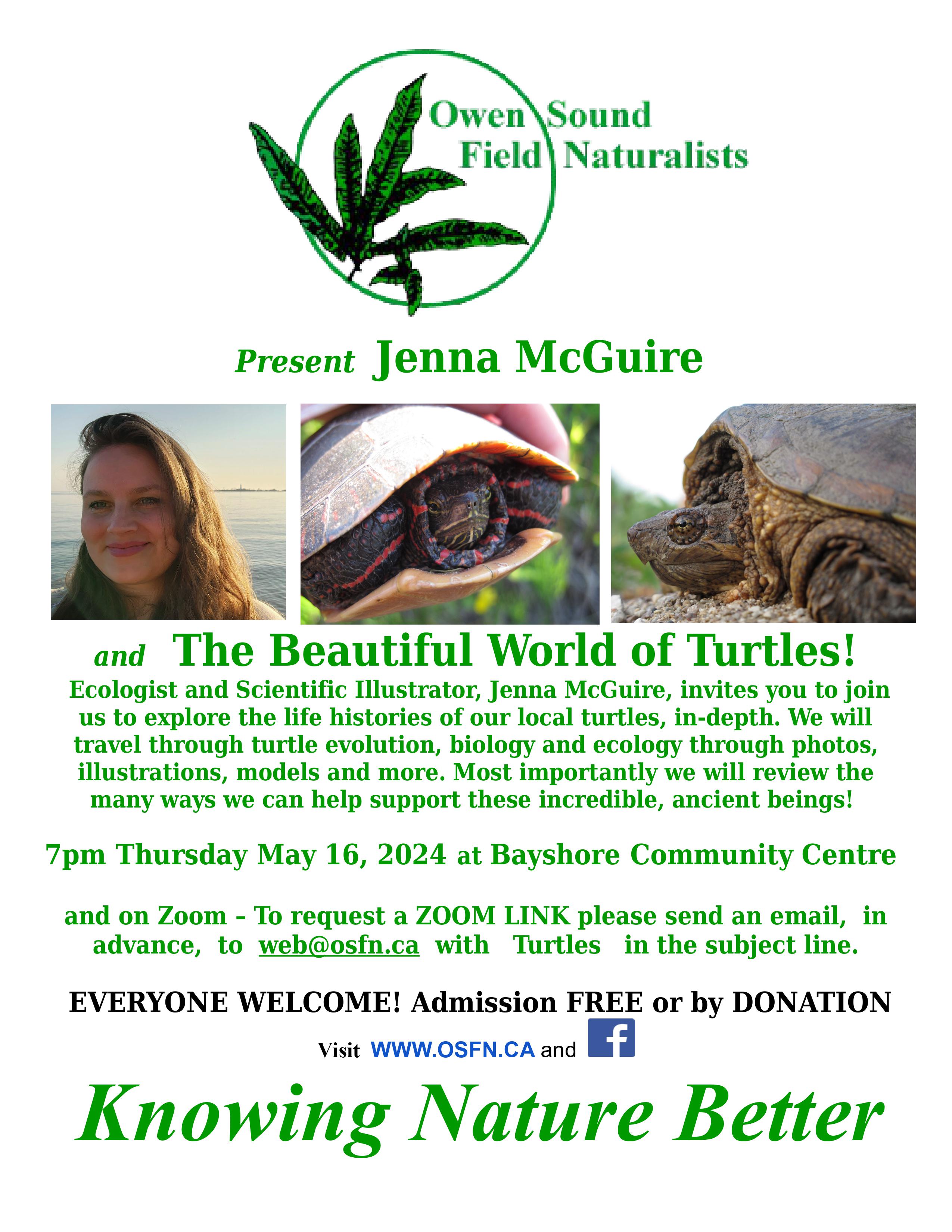 Event image Owen Sound Field Naturalists Present Jenna McGuire and the Beautiful World of Turtles